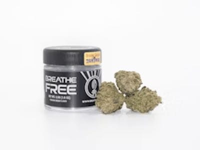 BreatheFree 3.5G for $35